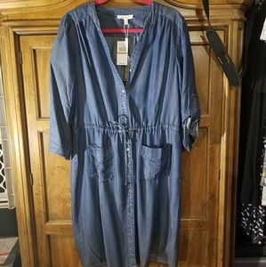 BNWT: Spense Denim Dress